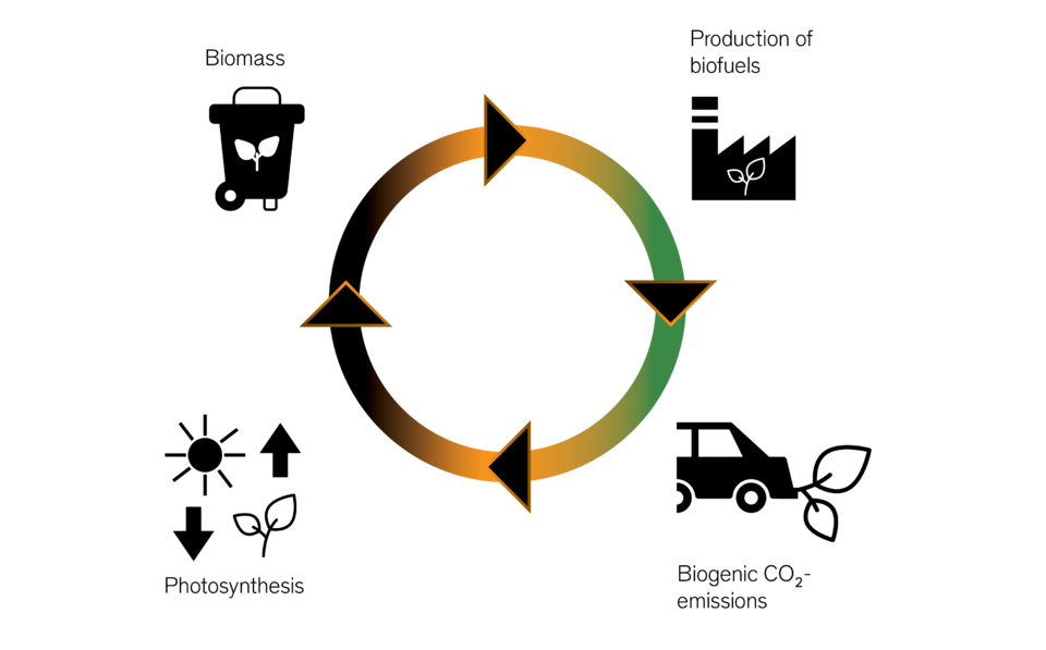 A real cycle